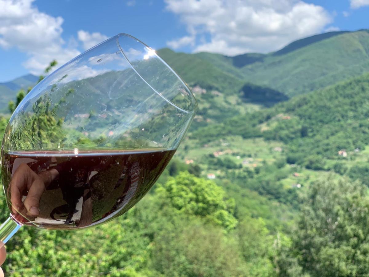 Casa Emma Fiattone In Garfagnana Villa Exteriör bild